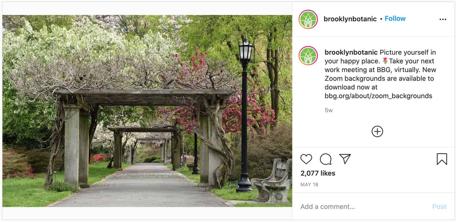 Brooklyn Botanic Garden: one of the best places in New York to propose